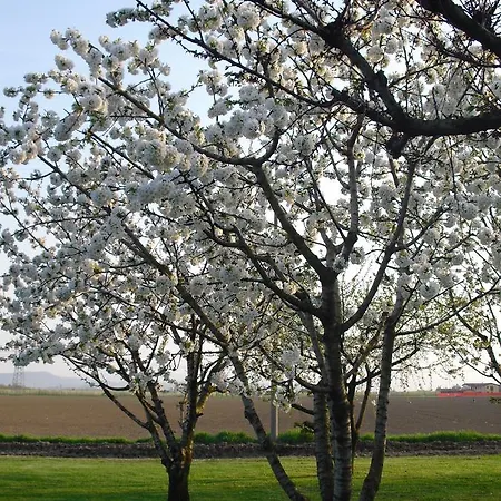 La Lupa Madonna della Provvidenza