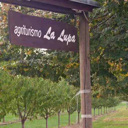 La Lupa
