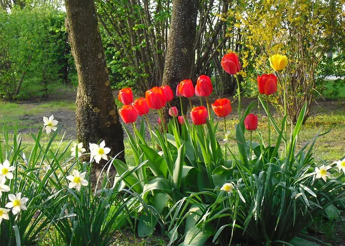 La Lupa Madonna della Provvidenza