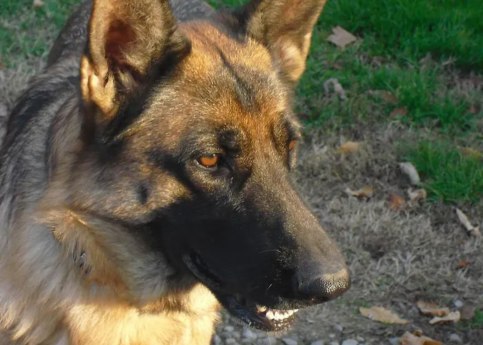 팜스테이 La Lupa